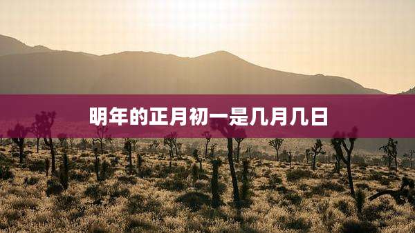 明年的正月初一是几月几日