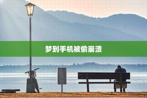 梦到手机被偷崩溃