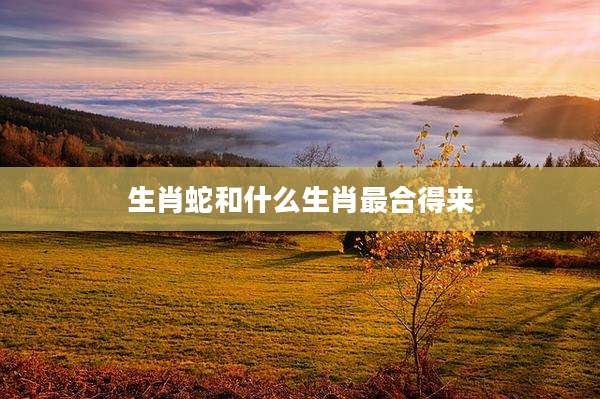 生肖蛇和什么生肖最合得来