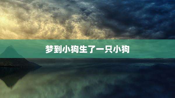 梦到小狗生了一只小狗