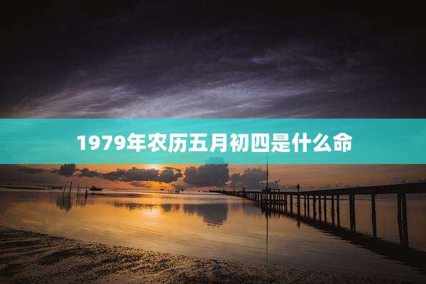 1979年农历五月初四是什么命