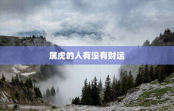 属虎的人有没有财运