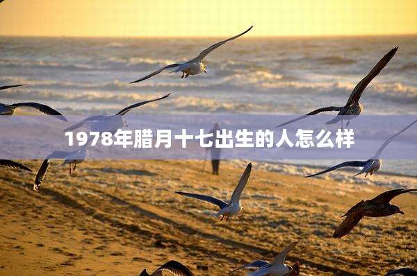 1978年腊月十七出生的人怎么样