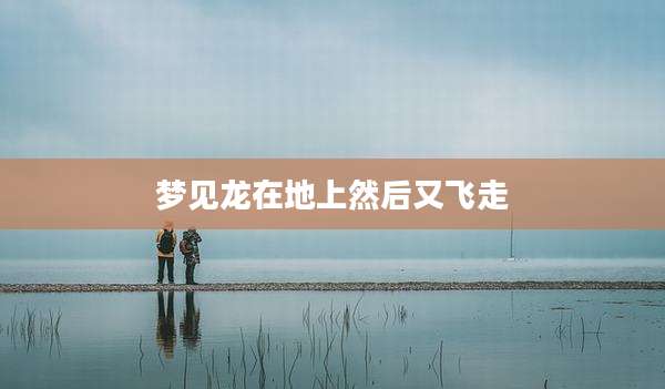 梦见龙在地上然后又飞走