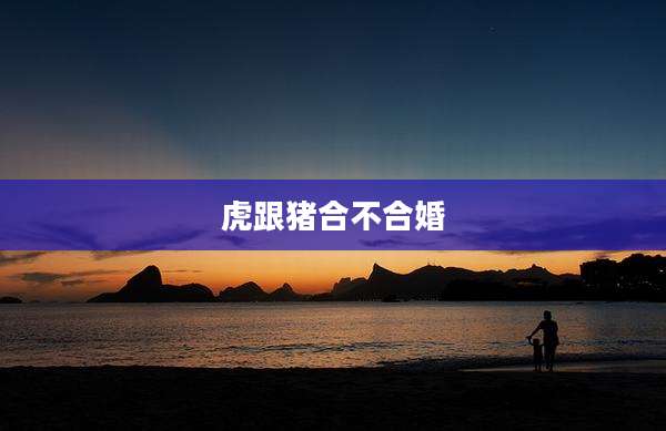 虎跟猪合不合婚