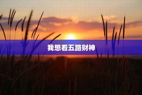 我想看五路财神