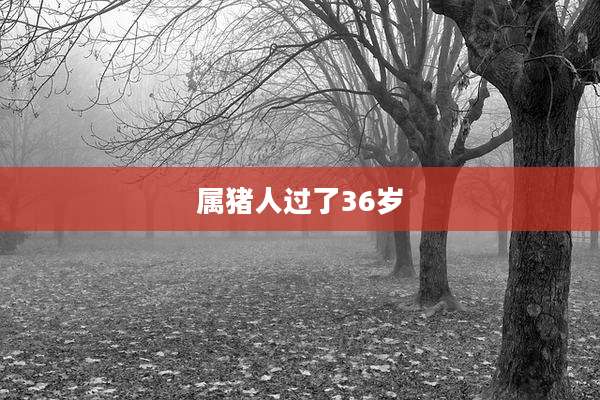 属猪人过了36岁