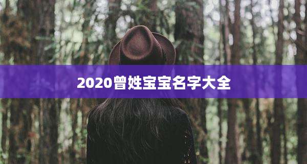 2020曾姓宝宝名字大全