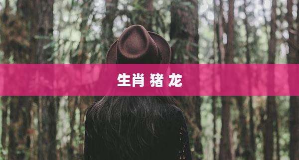 生肖 猪 龙