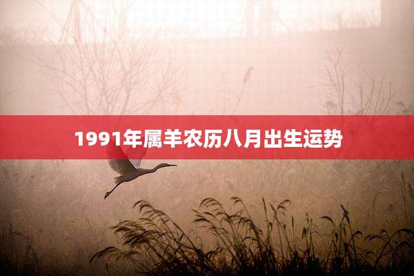 1991年属羊农历八月出生运势