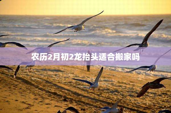 农历2月初2龙抬头适合搬家吗