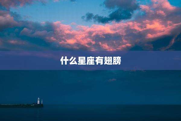 什么星座有翅膀