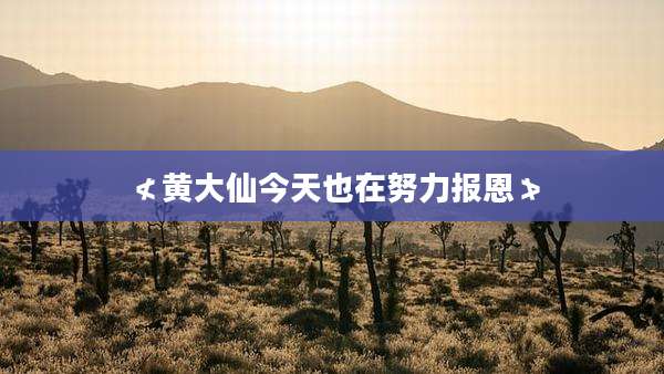 ≮黄大仙今天也在努力报恩≯