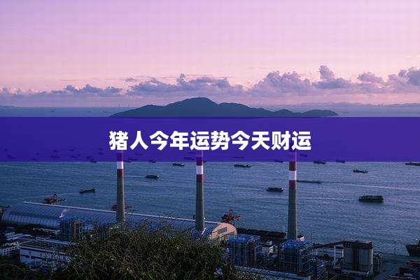 猪人今年运势今天财运