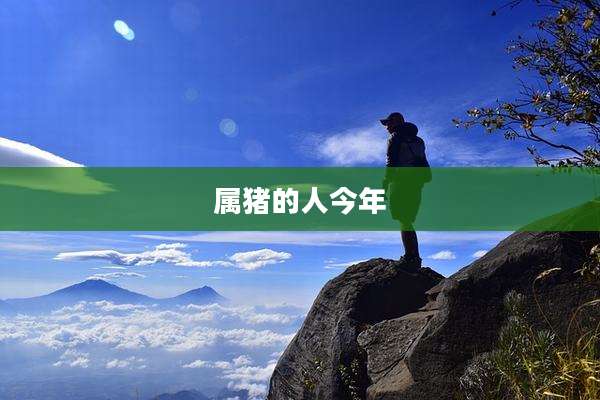 属猪的人今年