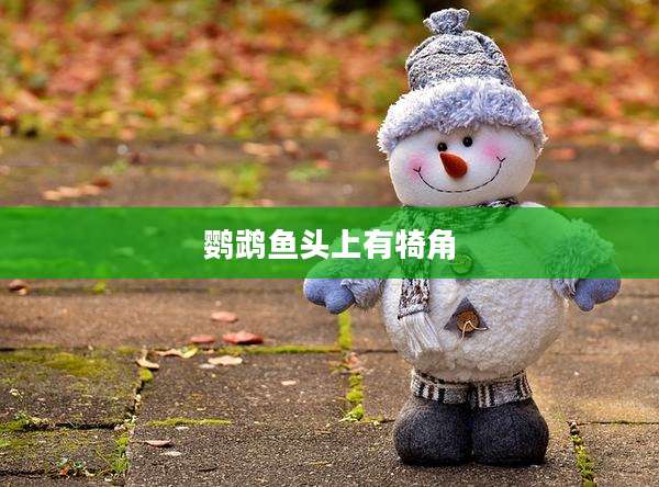 鹦鹉鱼头上有犄角