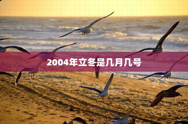 2004年立冬是几月几号