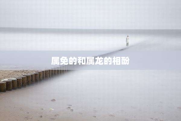 属免的和属龙的相酚