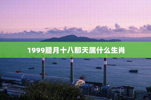 1999腊月十八那天属什么生肖