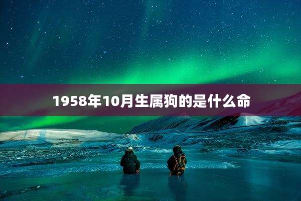 1958年10月生属狗的是什么命
