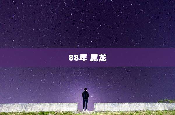 88年 属龙