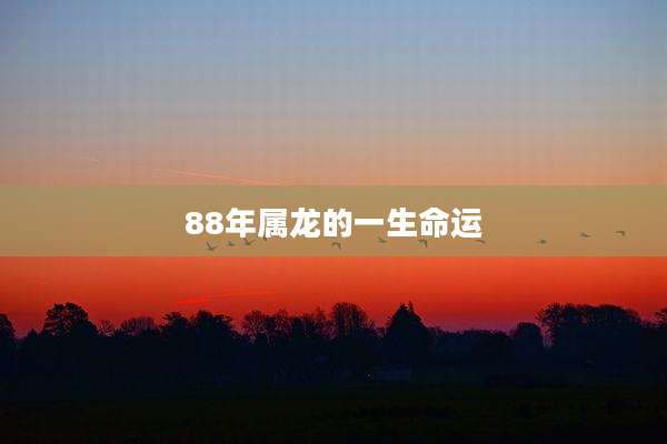 88年属龙的一生命运