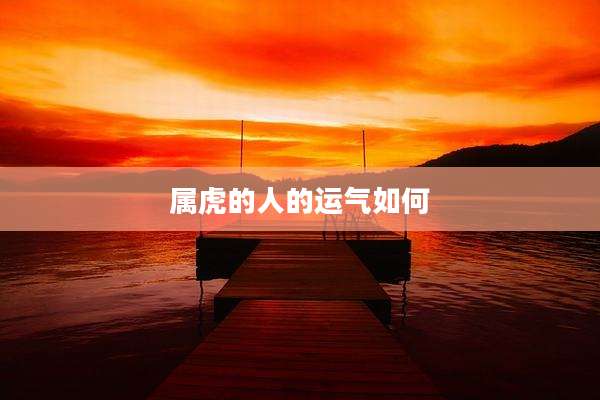 属虎的人的运气如何