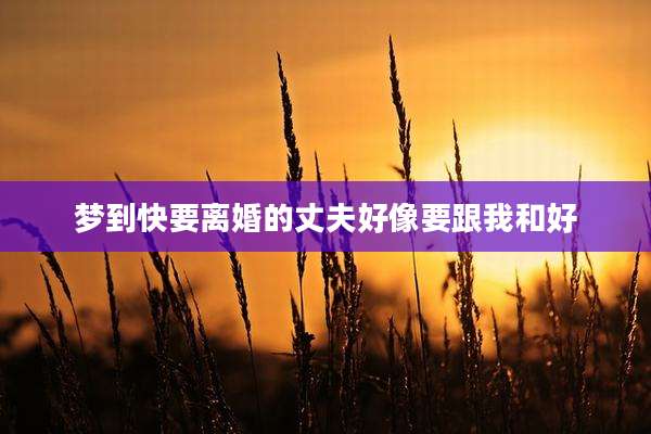 梦到快要离婚的丈夫好像要跟我和好