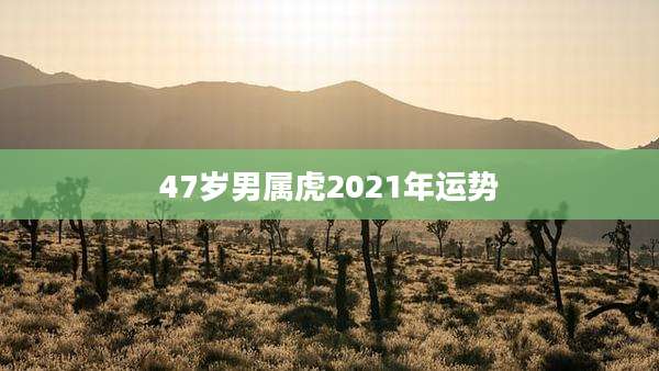 47岁男属虎2021年运势