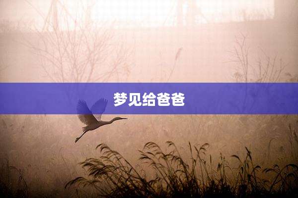 梦见给爸爸