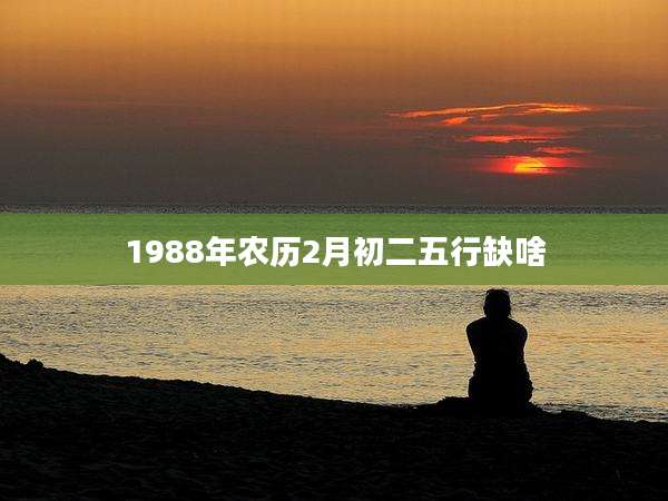 1988年农历2月初二五行缺啥