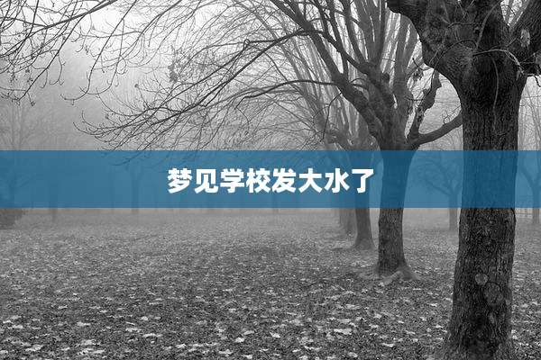 梦见学校发大水了