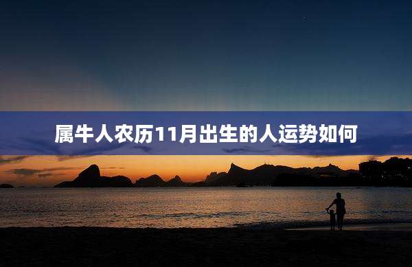 属牛人农历11月出生的人运势如何
