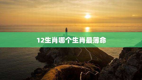 12生肖哪个生肖最薄命