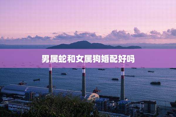 男属蛇和女属狗婚配好吗