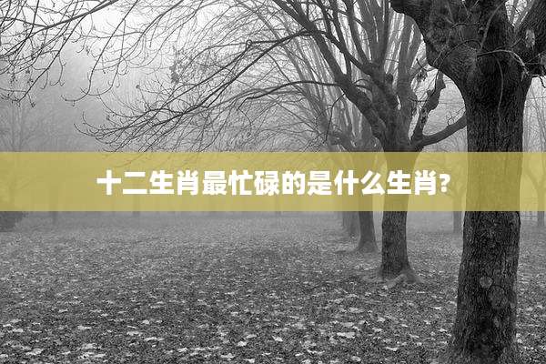 十二生肖最忙碌的是什么生肖?