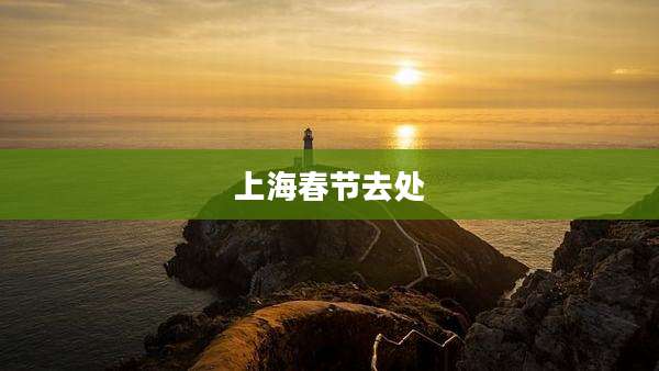 上海春节去处