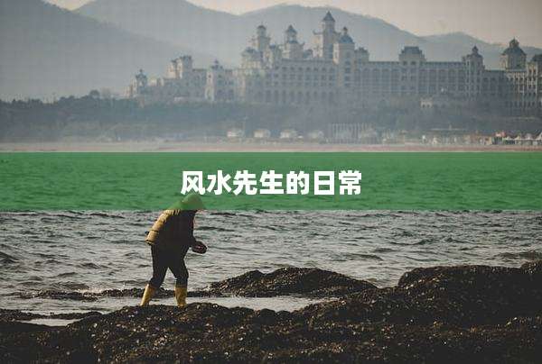 风水先生的日常