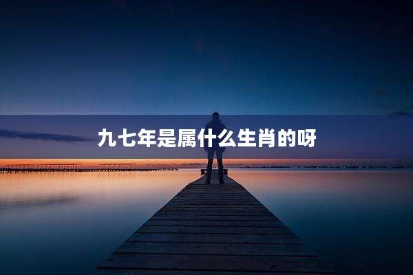 九七年是属什么生肖的呀