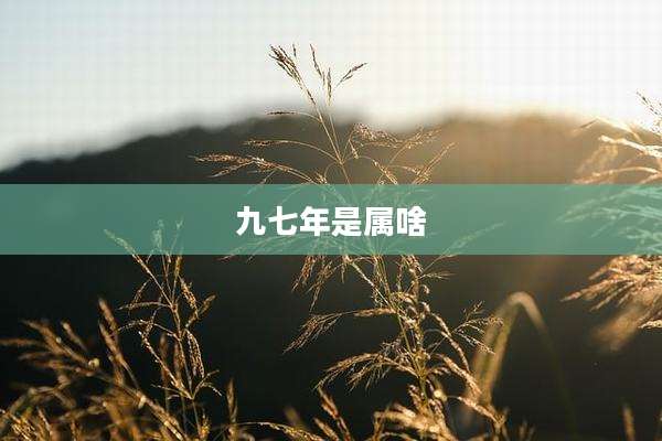 九七年是属啥