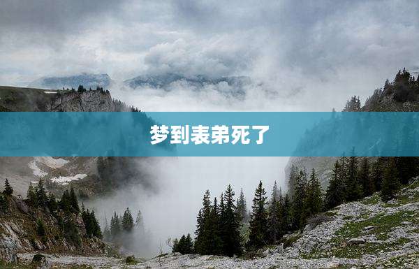 梦到表弟死了