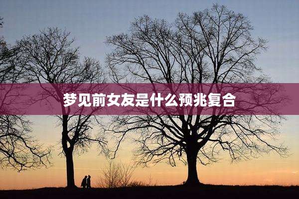 梦见前女友是什么预兆复合