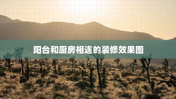 阳台和厨房相连的装修效果图