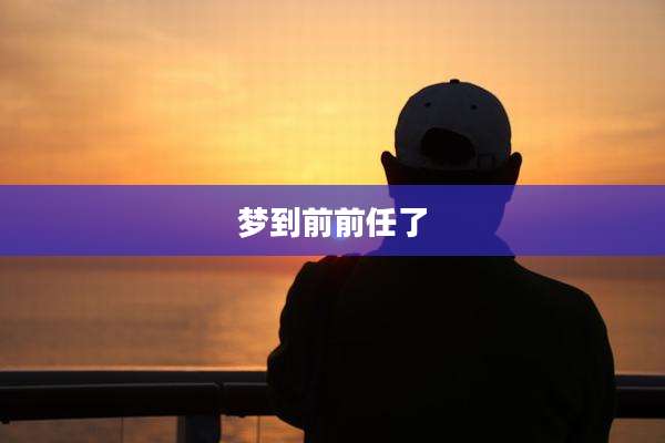 梦到前前任了