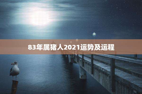 83年属猪人2021运势及运程