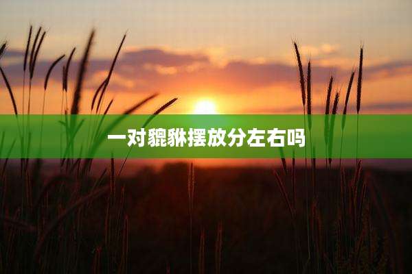 一对貔貅摆放分左右吗