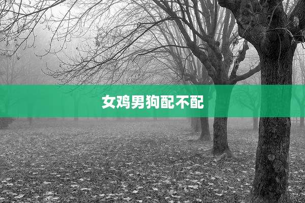 女鸡男狗配不配