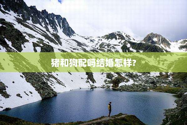 猪和狗配吗结婚怎样?