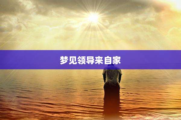 梦见领导来自家