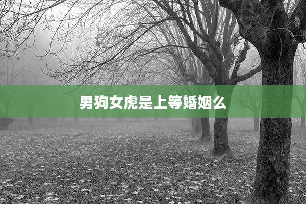 男狗女虎是上等婚姻么